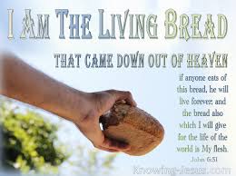 Live to Eat . . . Eat to Live