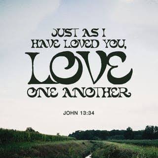 Forgive (Love) Even Them?