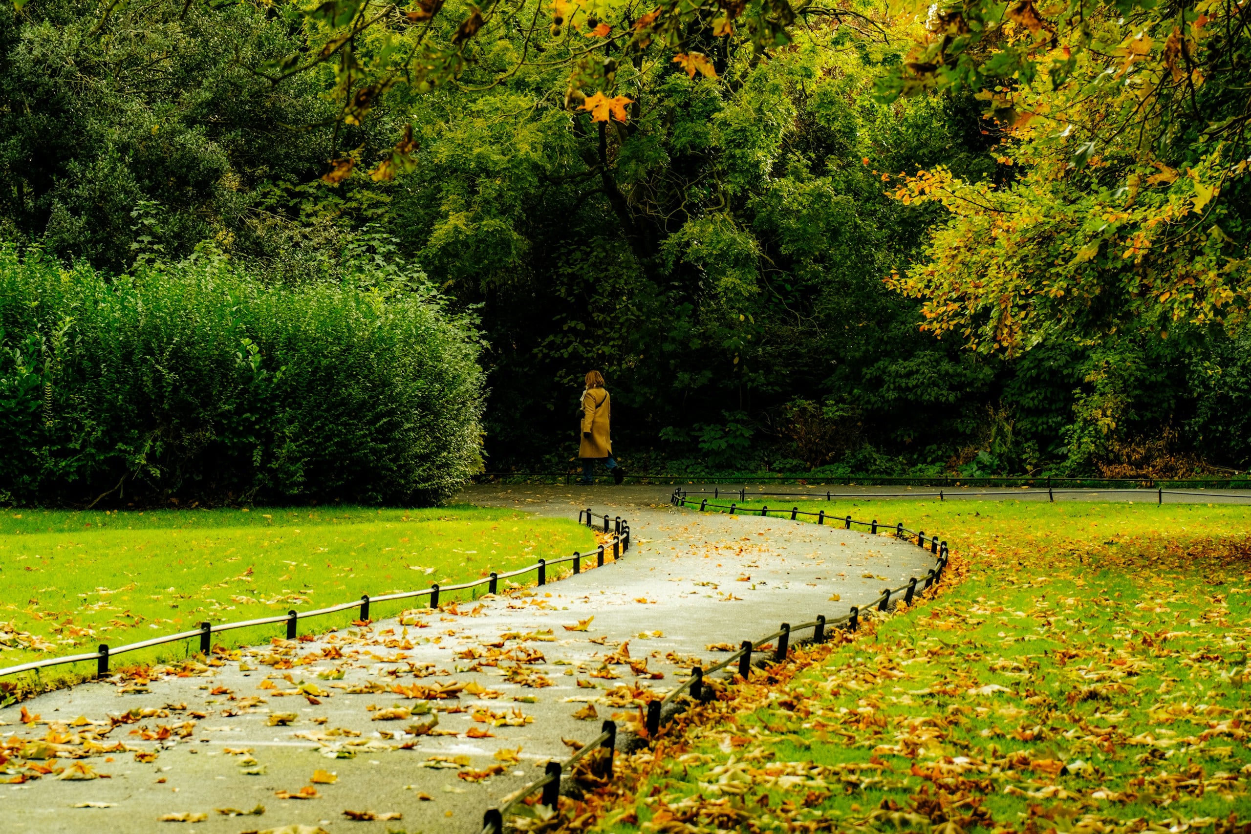 A winding path through an autumn park with fallen leaves