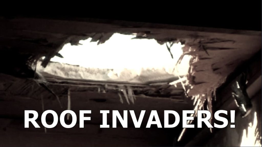 Roof Invaders