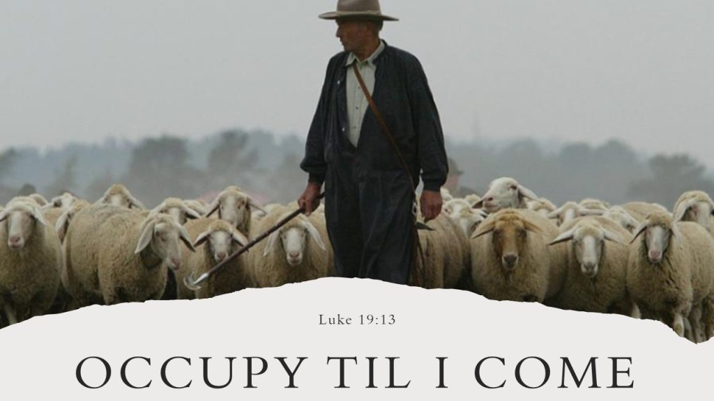 Occupy Til I Come