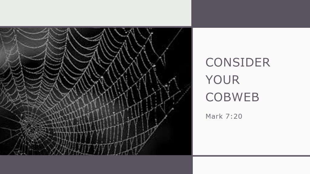 Consider Your Cobwebs