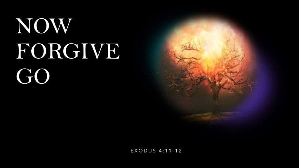 Now Forgive (Therefore) Go