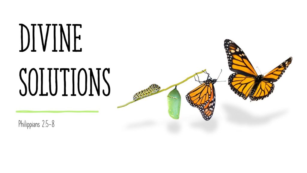 Divine Solutions