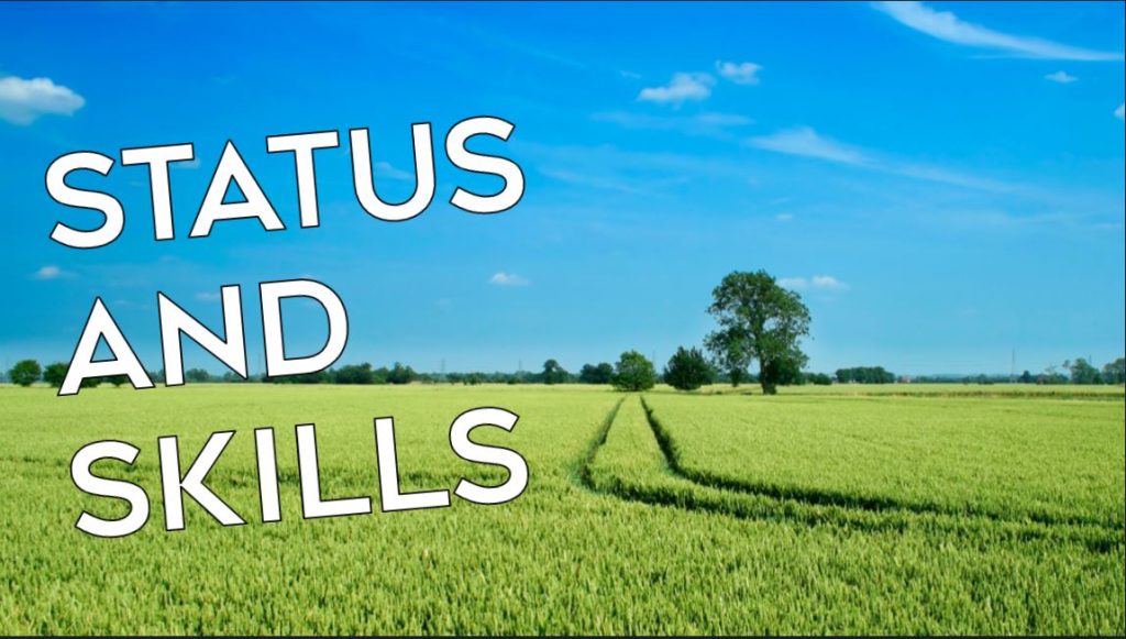 Status & Skills