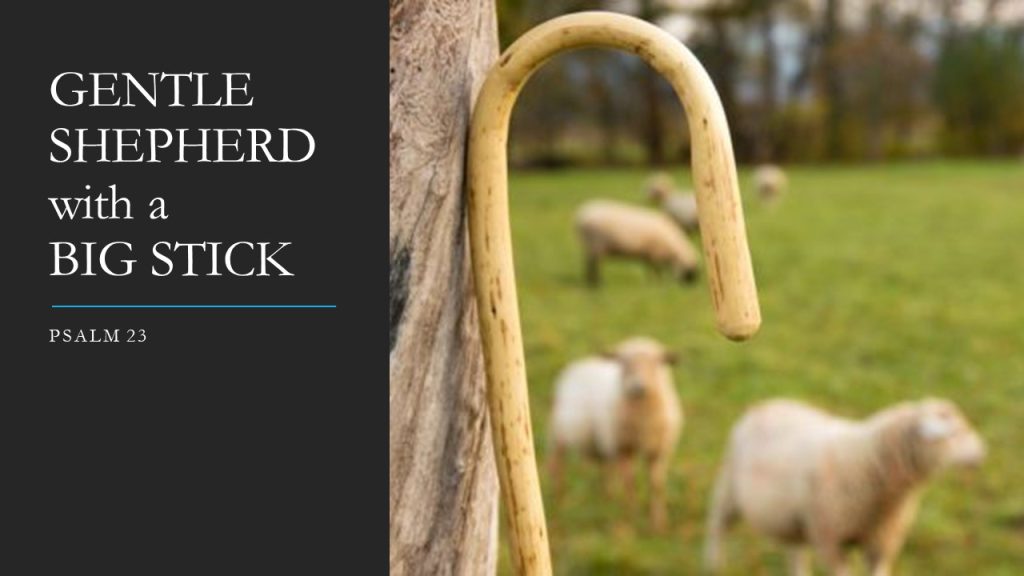 Shepherd with a Big Stick