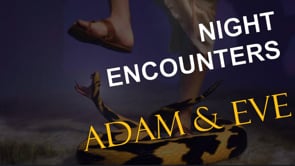 Night Encounters