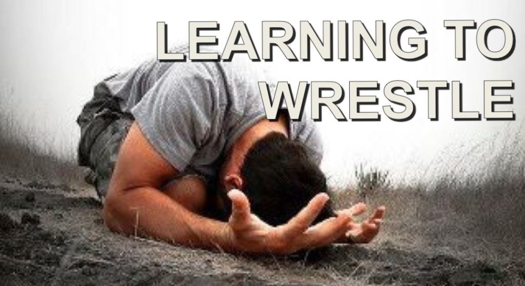 Learn to Wrestle