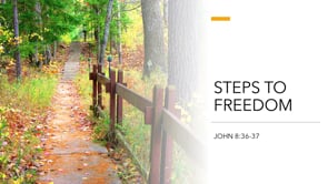 Steps to Freedom