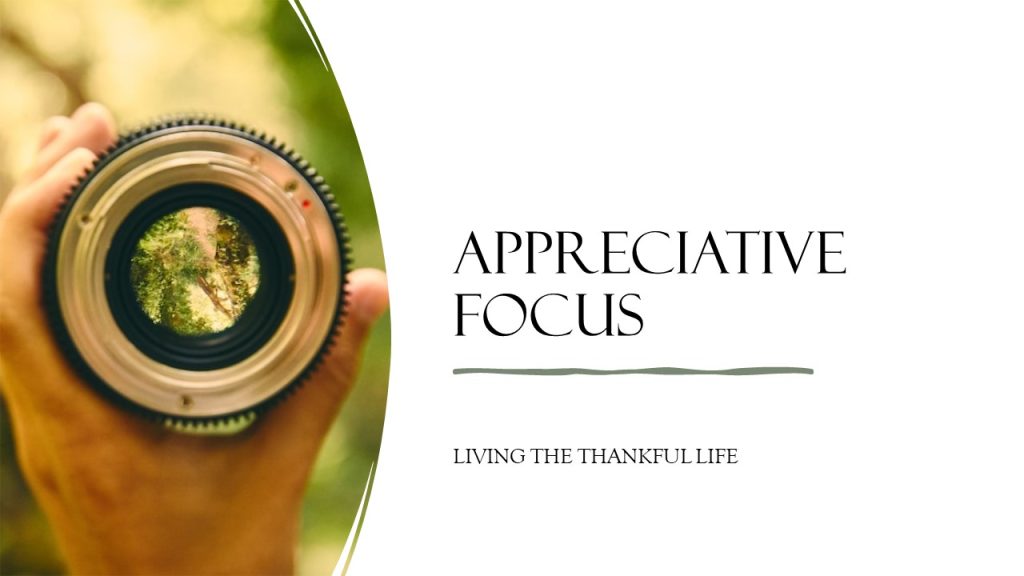 Appreciative Focus