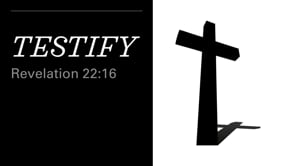 Testify