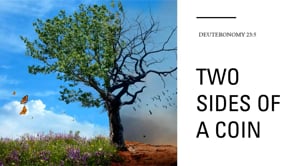Two Sides of a Coin