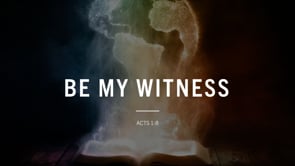 Be My Witness