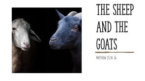 The Sheep & The Goats