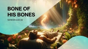 Bone of His Bones
