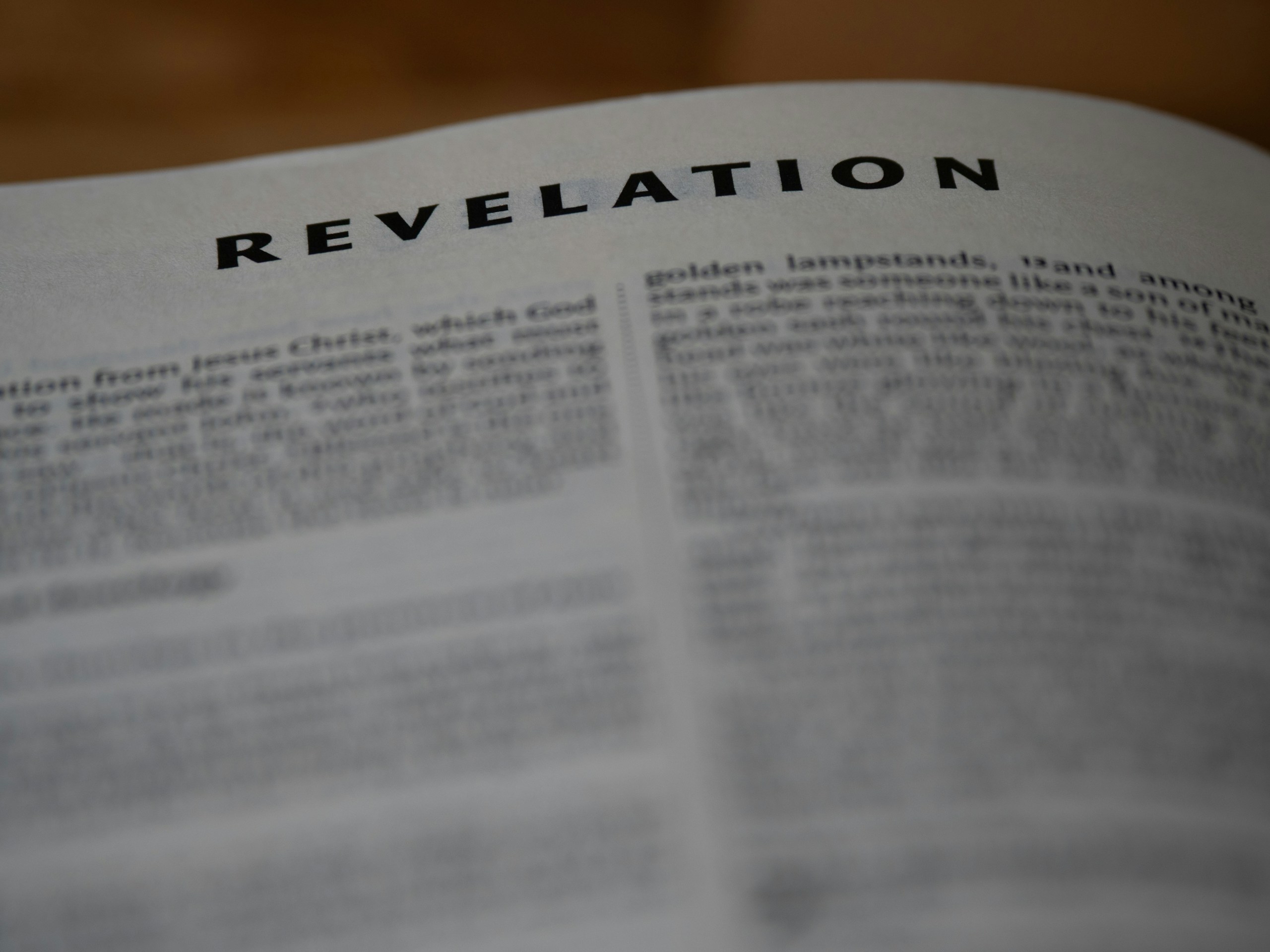 The image shows the book of revelation.