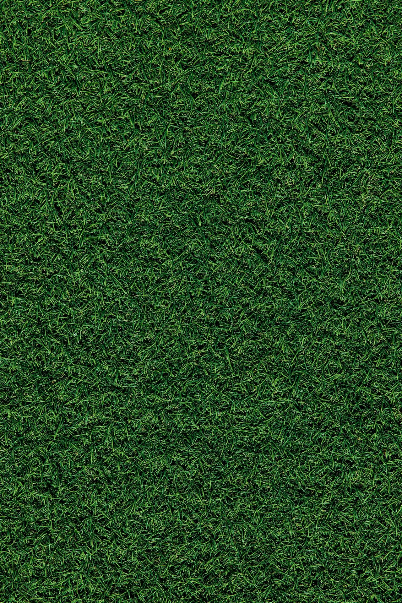 green grass field during daytime