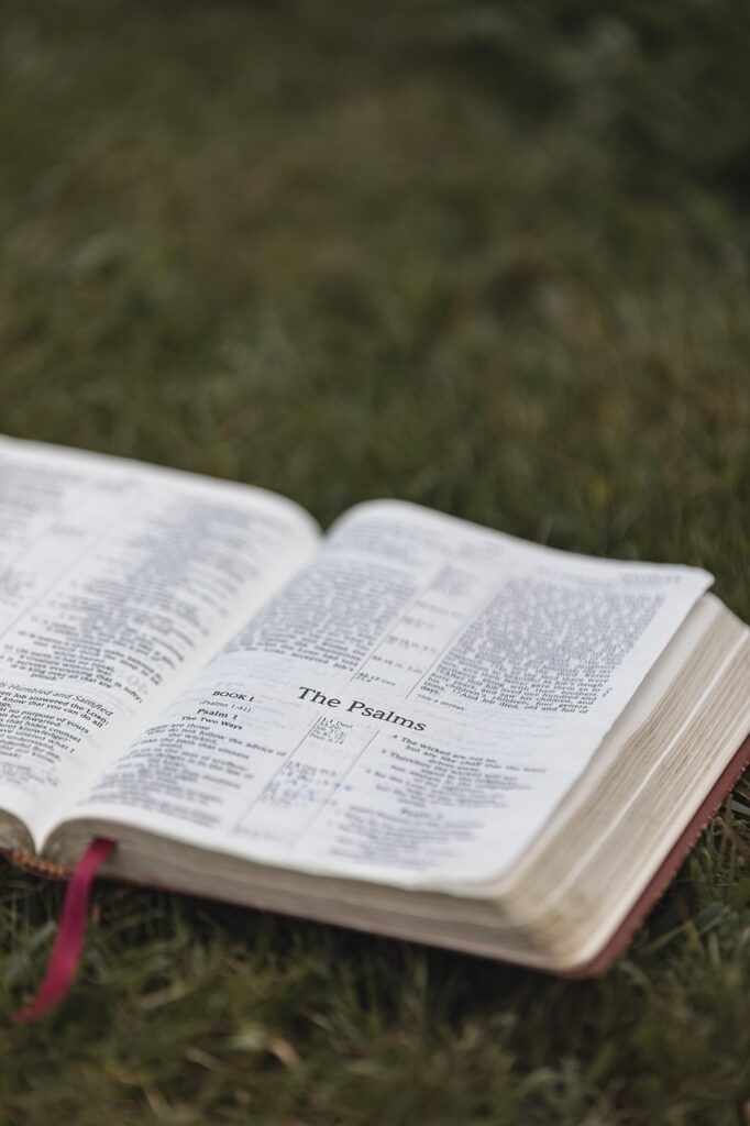 bible, christianity, religion, bible study, bible verse, bible reading, book, pages, christian bible, god, grass, christian symbol, word of god, scripture, nature, holy, christian background