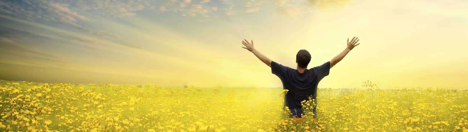 Person with arms raised standing in a golden field.