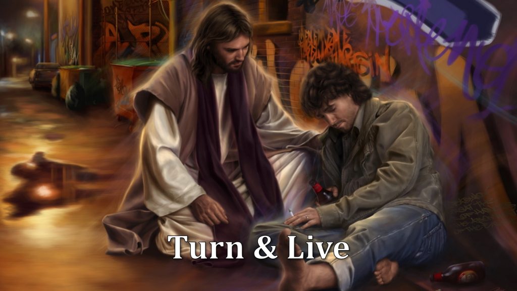 Turn & Live