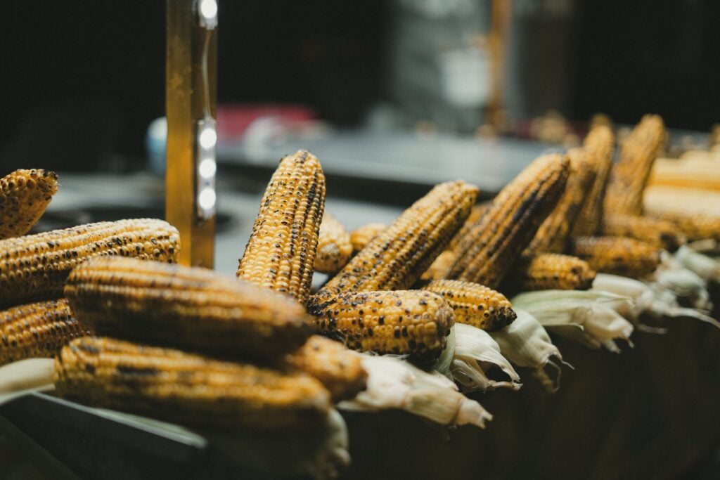 Close-up of grilled corn on the cob at a night street market.