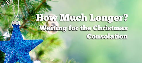 How Much Longer? Waiting for the Christmas Consolation episode artwork