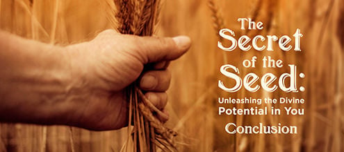 The Secret of the Seed: Unleashing the Divine Potential in You – 4