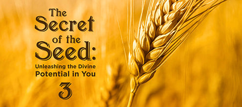 The Secret of the Seed: Unleashing the Divine Potential in You – 3