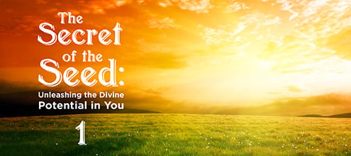 The Secret of the Seed: Unleashing the Divine Potential in You – 1
