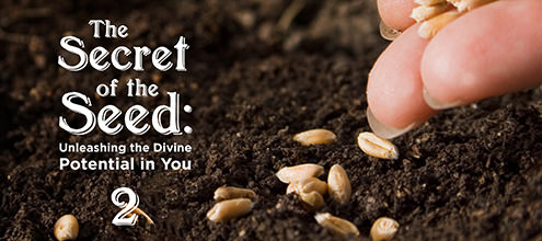 The Secret of the Seed: Unleashing the Divine Potential in You – 2