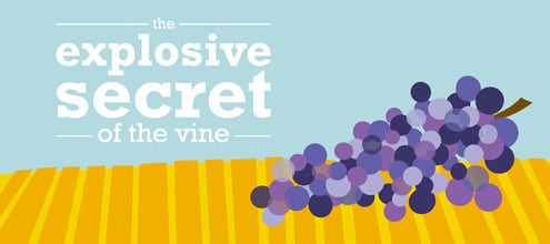 Part 5: The Last Days: “The Explosive Secret of the Vine” episode artwork