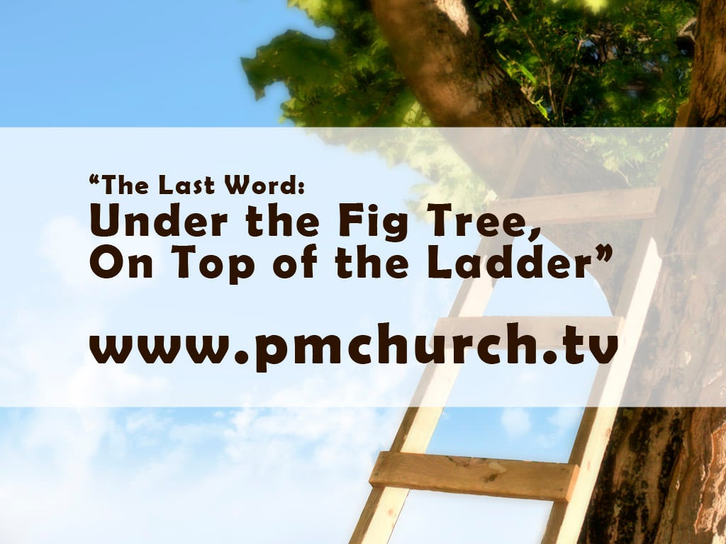 Part 4: The Last Word: Under the Fig Tree, on Top of the Ladder