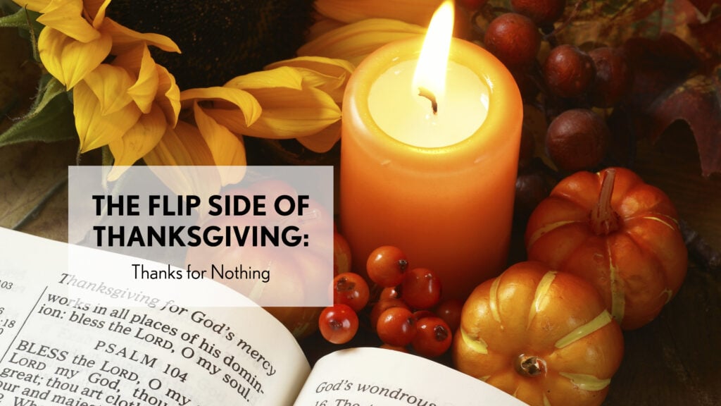 The Flip Side of Thanksgiving: Thanks for Nothing episode artwork
