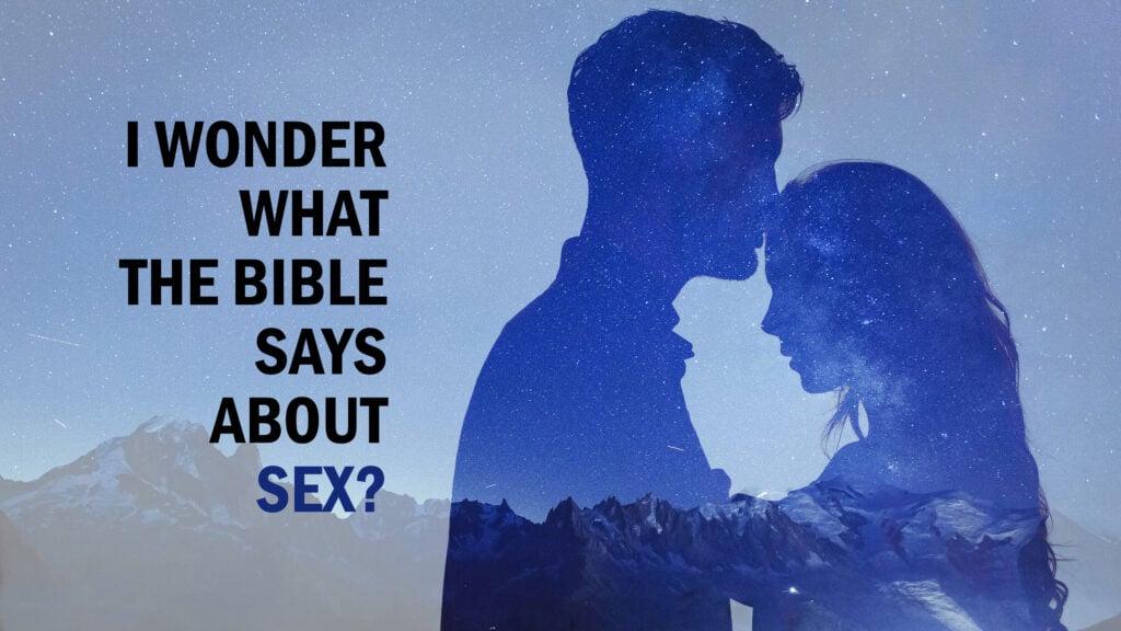 I Wonder What the Bible Says About Sex?