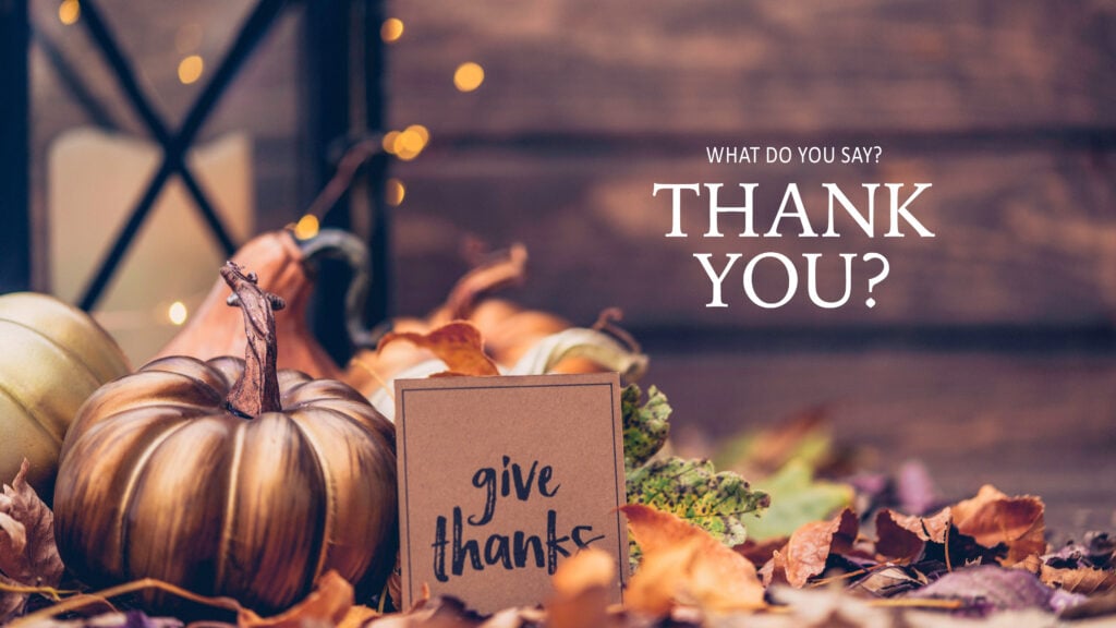 What Do You Say? Thank You? episode artwork