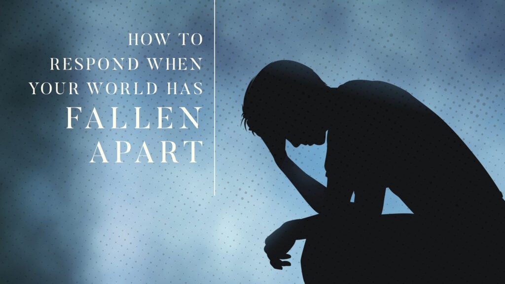 How to Respond When Your World Has Fallen Apart episode artwork