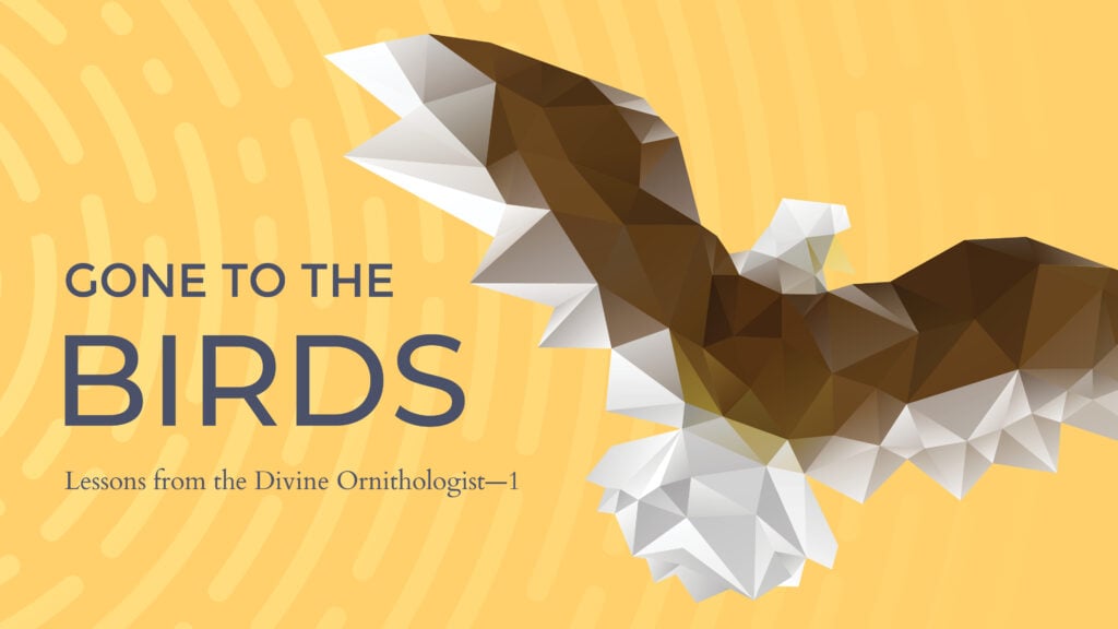 Lessons from the Divine Ornithologist – Part 1