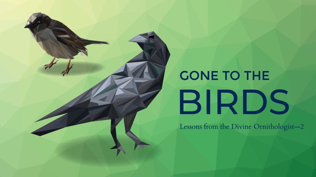 Lessons from the Divine Ornithologist – Part 2