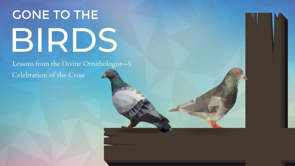 Lessons from the Divine Ornithologist – Part 5