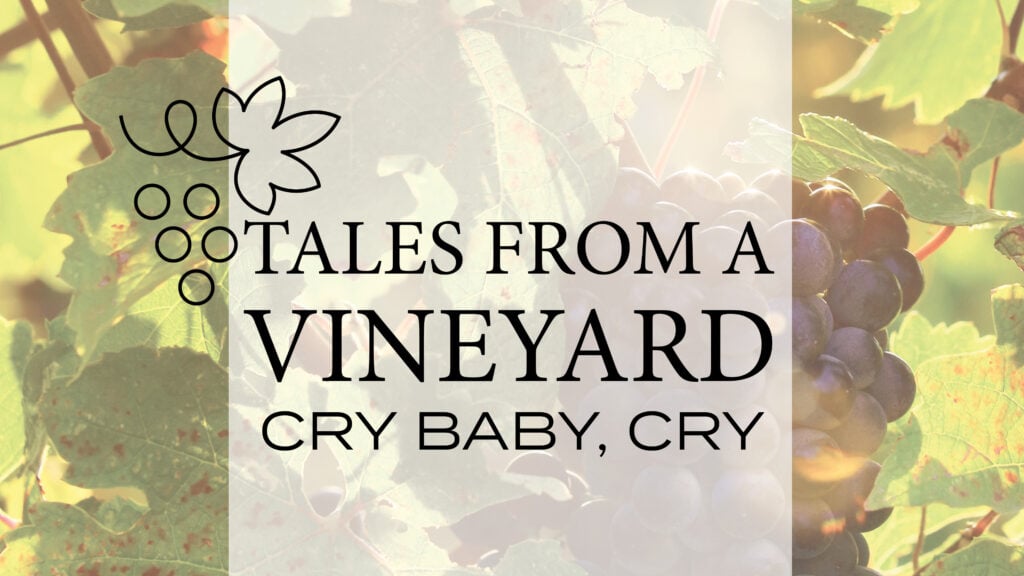 Cry Baby, Cry