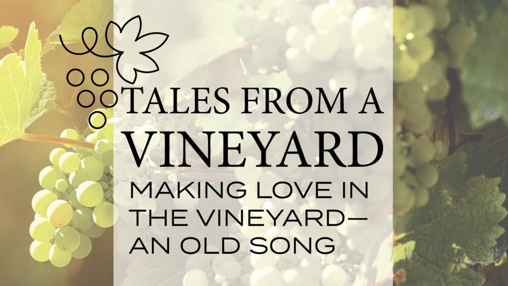 Making Love in the Vineyard-An Old Song