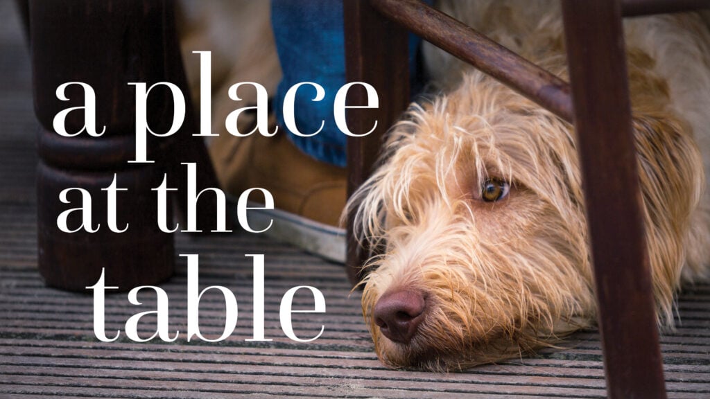 A Place at the Table episode artwork