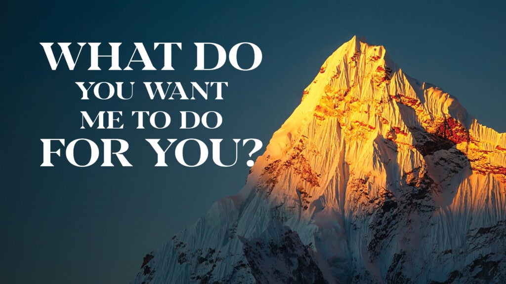 What Do You Want Me to Do for You? episode artwork