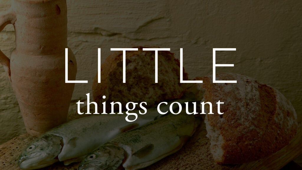 Little Things Count episode artwork