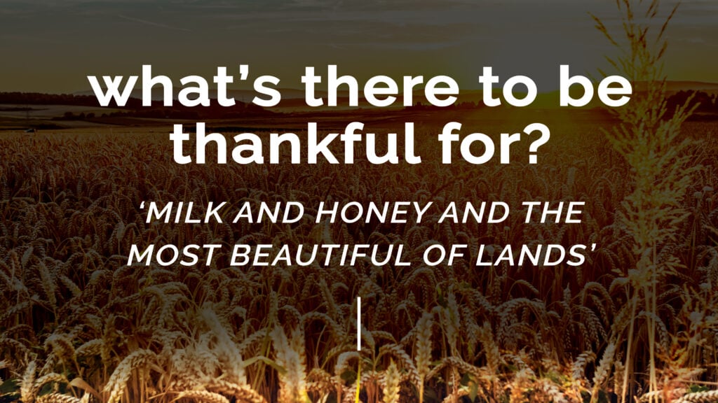 What’s There to Be Thankful For? ‘Milk and Honey and the Most Beautiful of Lands’