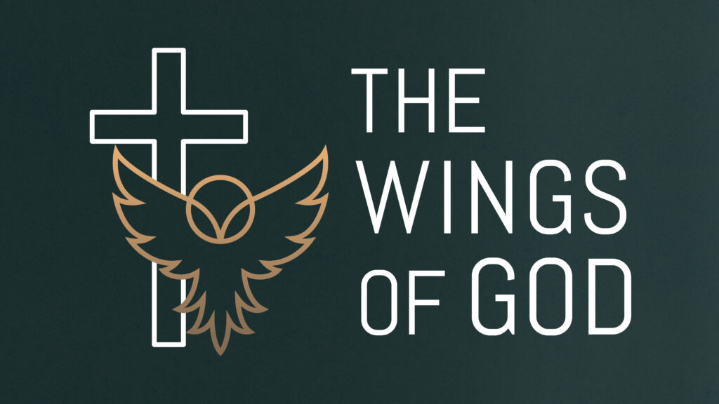 The Wings of God episode artwork