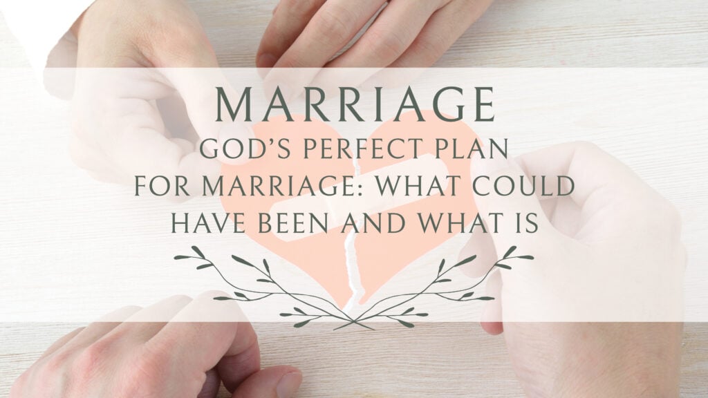 God’s Perfect Plan for Marriage: What Could Have Been and What Is