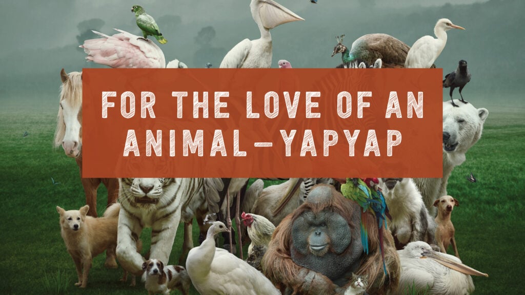 YapYap