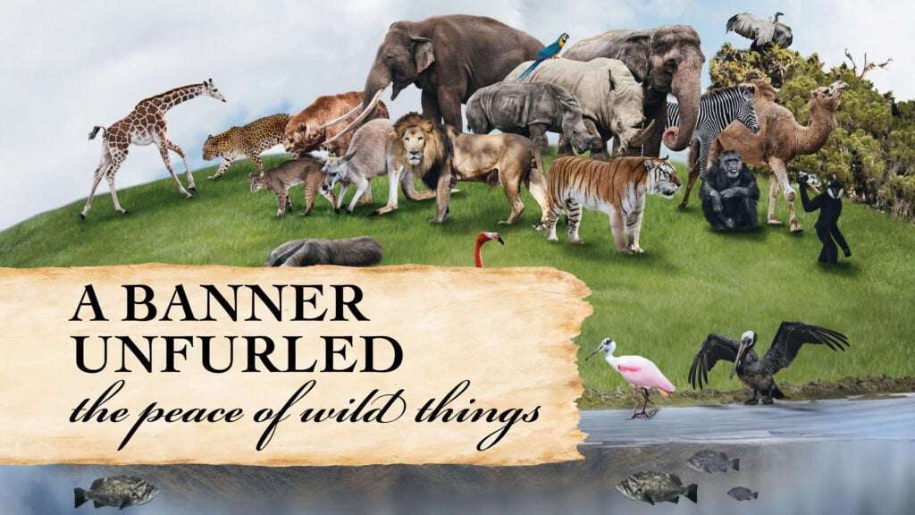 The Peace of Wild Things