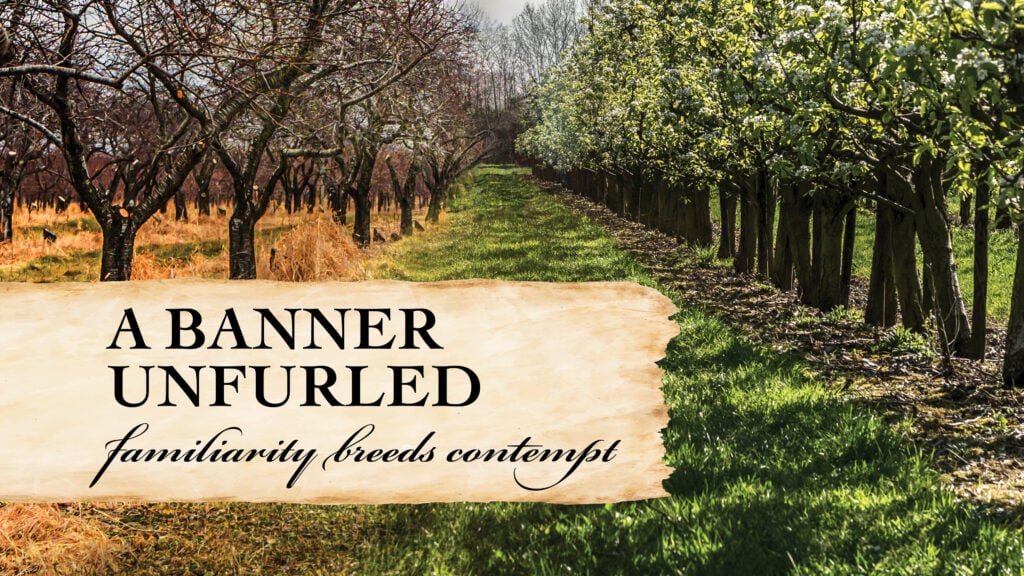 Familiarity Breeds Contempt